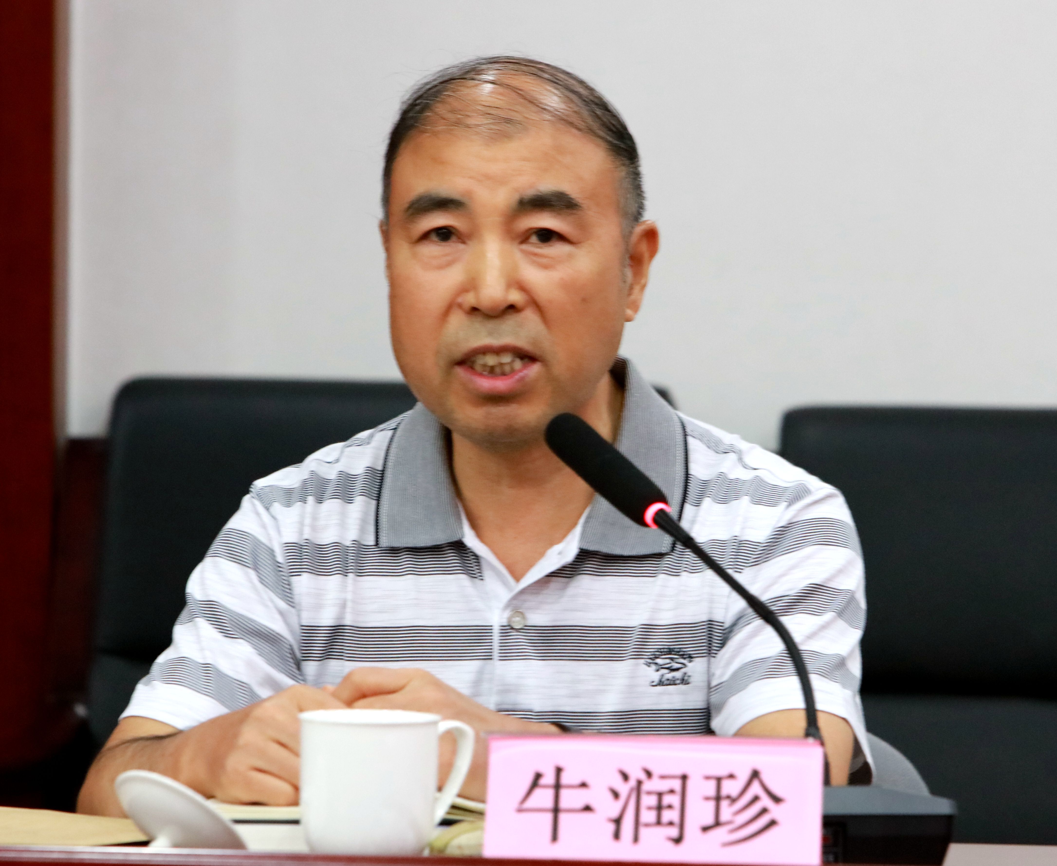 牛润珍发言