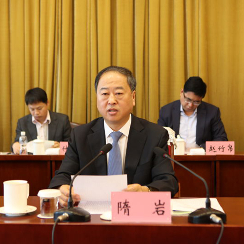 隋岩讲话