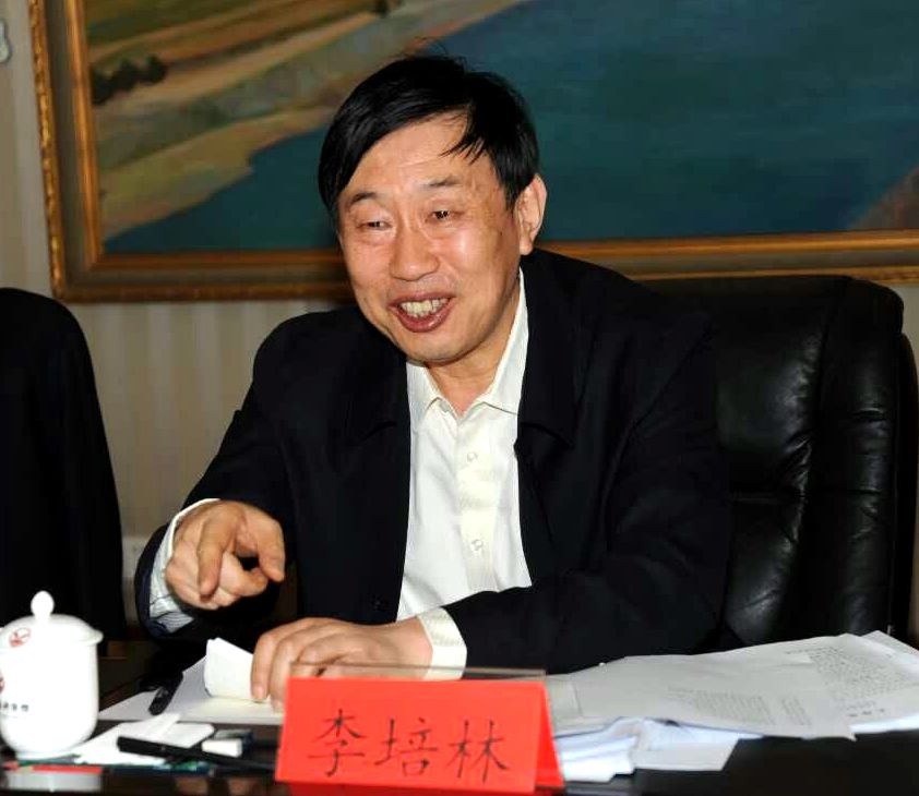 李培林讲话