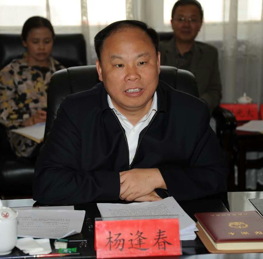 杨逢春讲话
