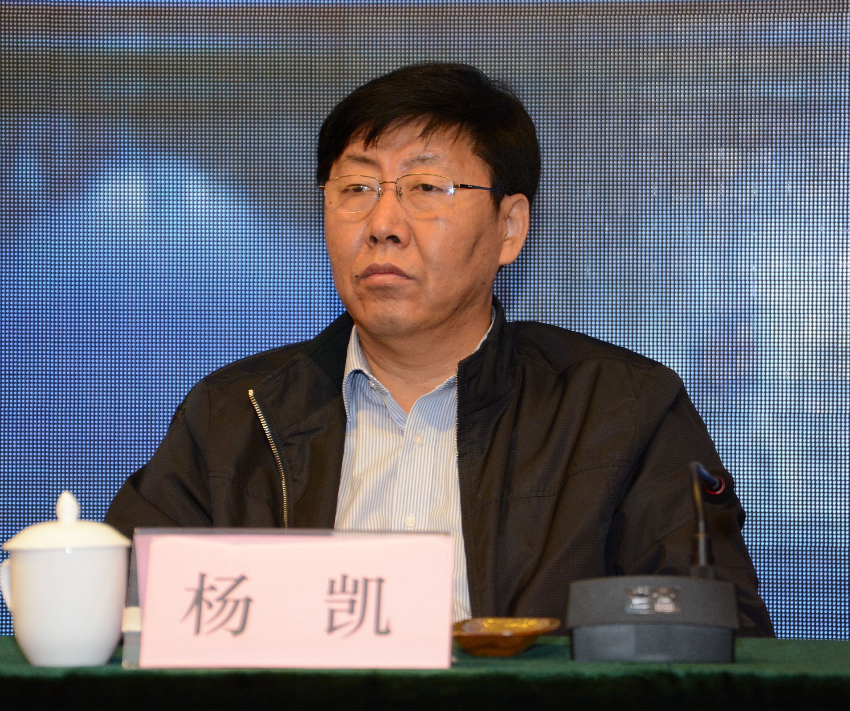 杨凯致辞