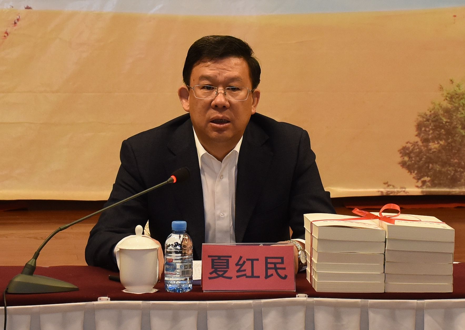 夏红民致辞