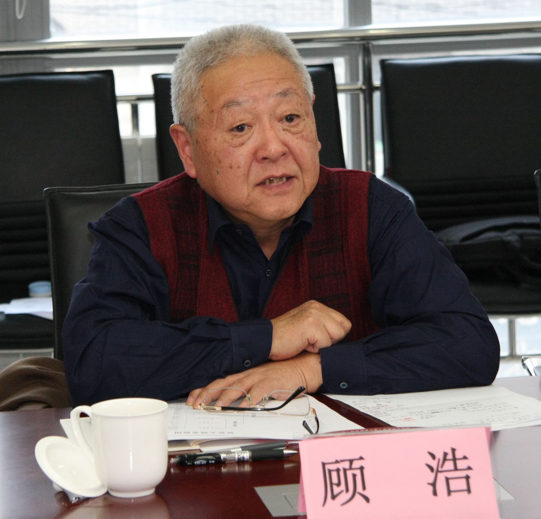 顾浩发言