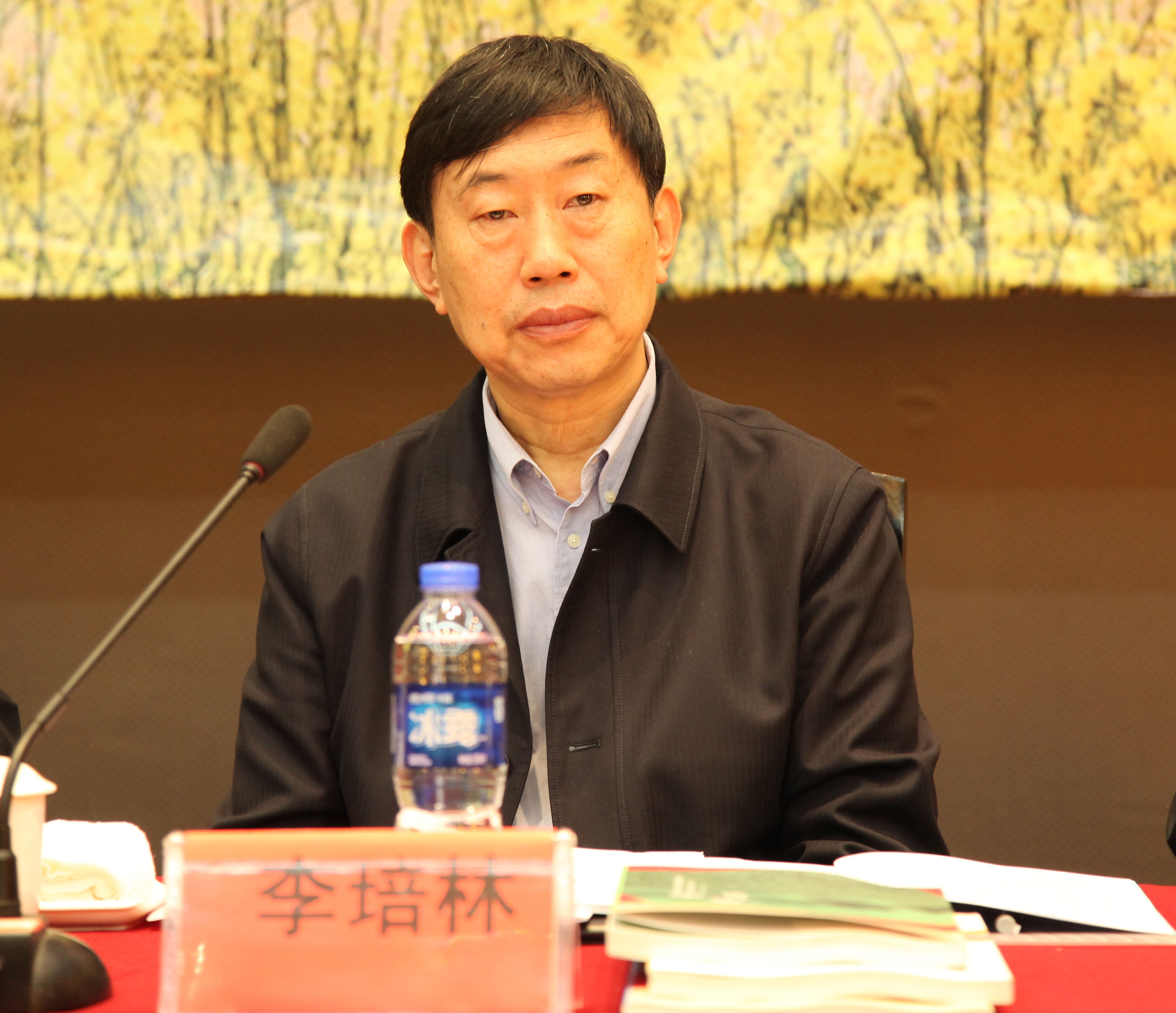 李培林讲话