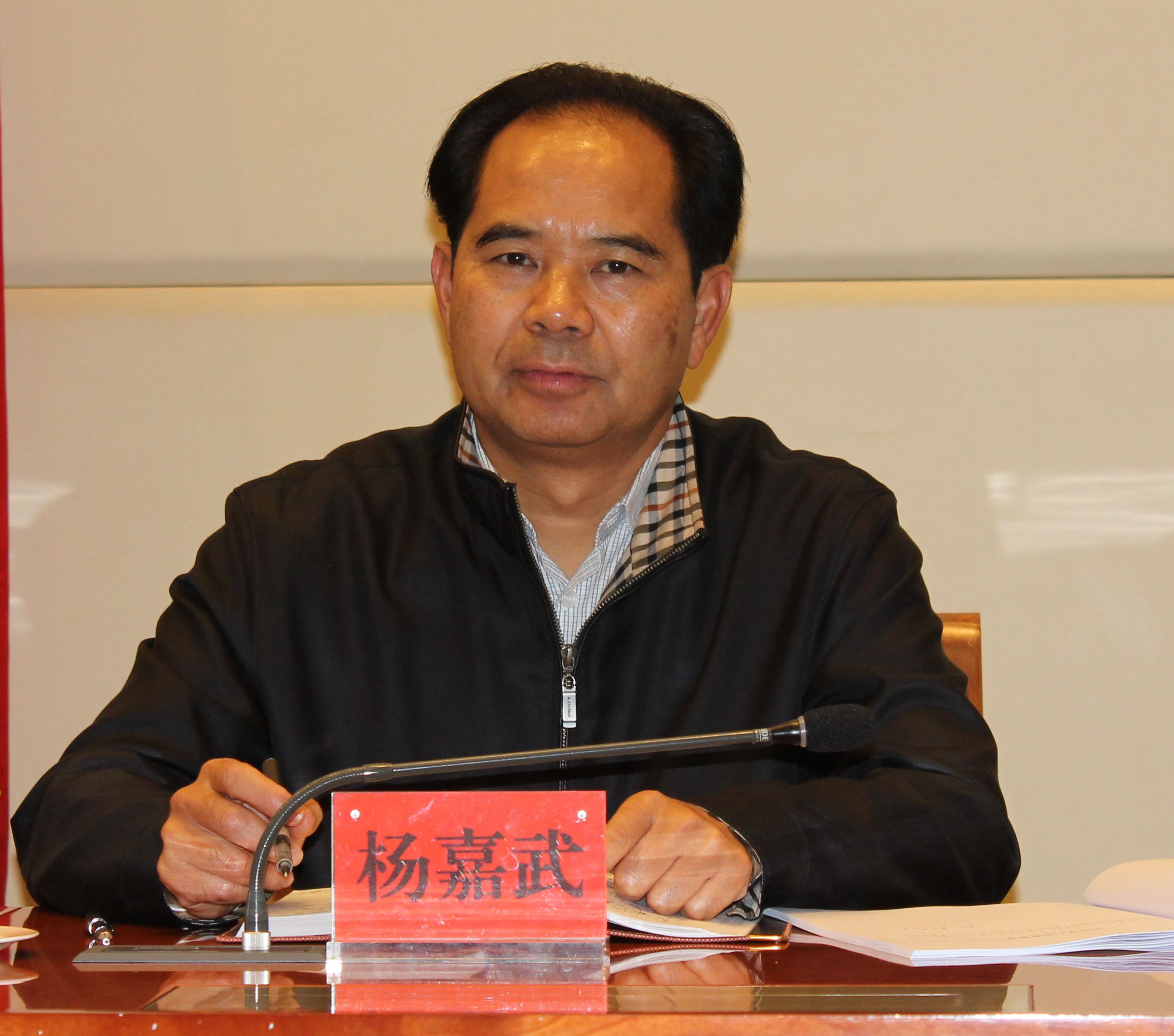 杨嘉武出席会议