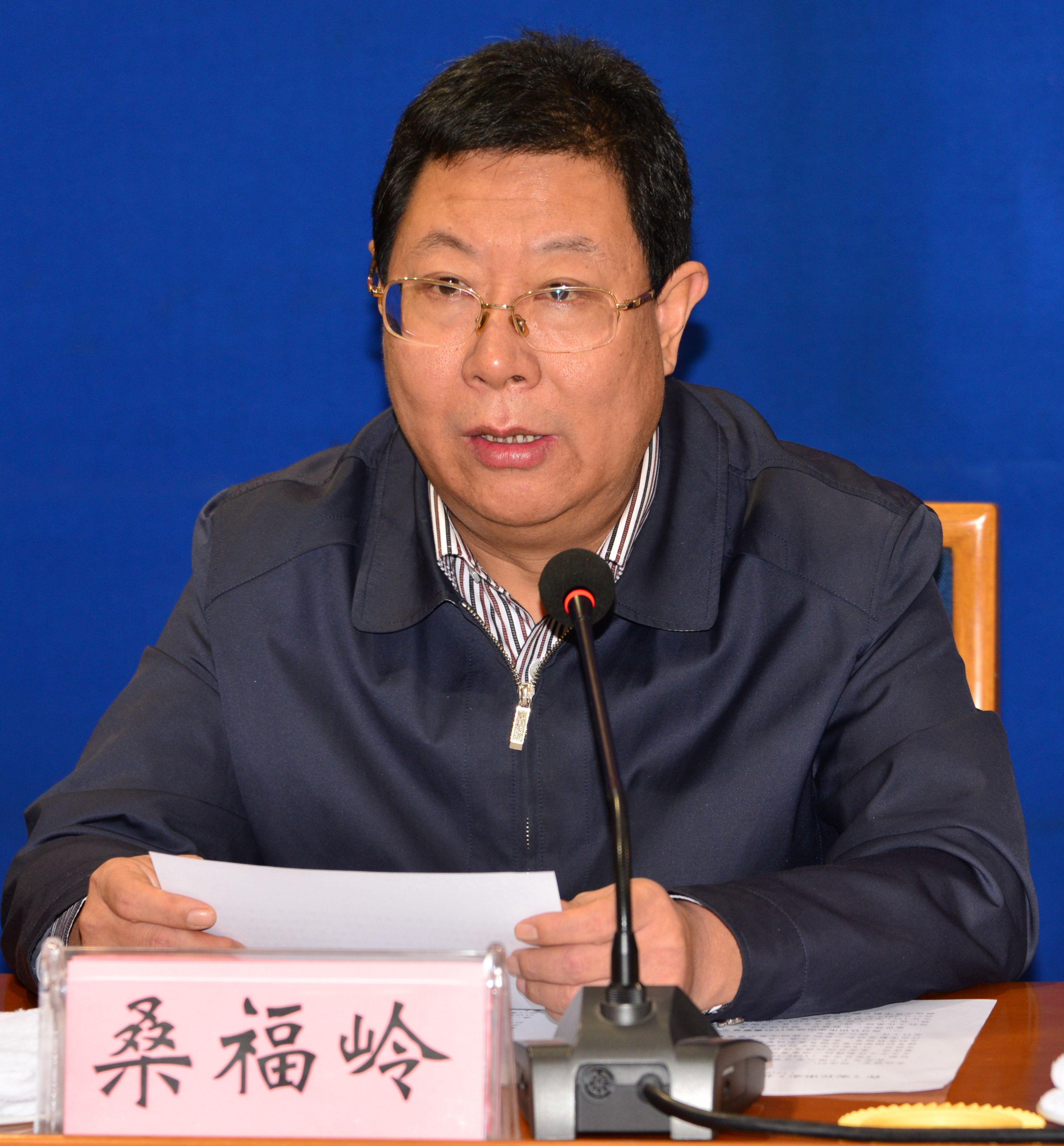 桑福岭讲话